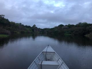 Curupira Amazon Lodge - Private Jungle Tour, River Tour or Great Adventure TOUR INCLUDED ONLY IN THE WALKING SAFARI OPTION - 7