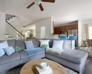 Palm House Luxury Retreat for Families and Corporate - Charlotte - 5