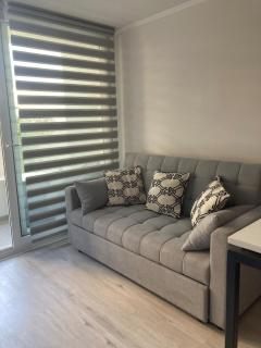 Nice and cozy apartment - Santiago - 0