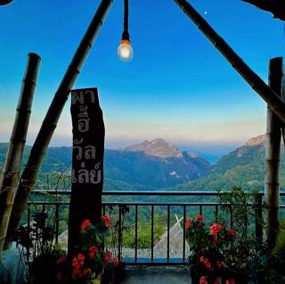 Phahee valley ผาฮี้วัลเล่ย์ - Ban Ko Doi Tung - 8