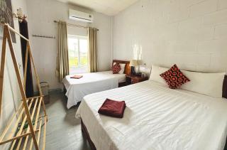 The Palm Lodge - 9