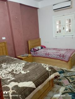 فندق الفيتوري - Siwa - 3