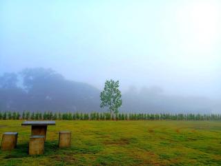 FIELD GOOD Resort at Chiang Rai - - 3