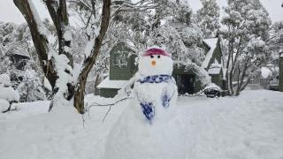 Kunama - Dinner Plain - 9