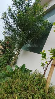Atithi home stay and Cloud Kitchen - 3