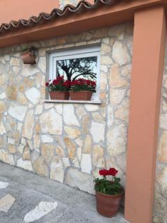 Guesthouse Tariba - 8