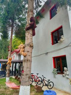 Hotel Gâlma - Moroeni - 9