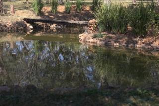 Klein Eden - The Bush Baby - Vosburg - 2