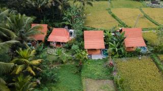 Nava Prana Villas by Pramana Villas - Ubud - 5