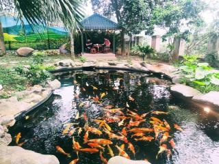 Khu Sinh Thái Ba Vì Eco Camping - Nhà Sàn - - 2