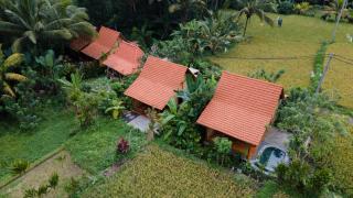 Nava Prana Villas by Pramana Villas - 0