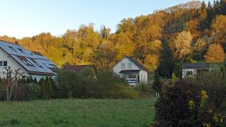 FeWo im Haus am Birkwald - Losheim - 0