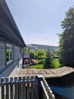 Ferienwohnung WaldZeit in Hahnenklee-mit Hund - Goslar - 8