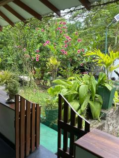 Honeyland hotel - Naula - 6