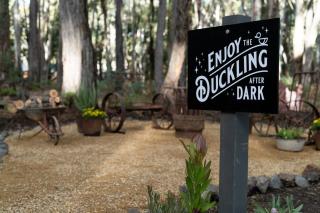 The Duckling - Glenlyon - 7