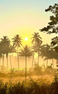 Emerald - 5 Minutes walk to the beach - Varca - 3