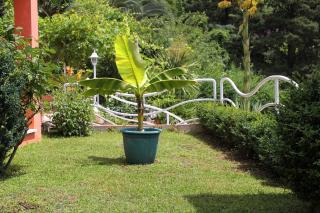 Seaside family friendly house with a swimming pool Mlini, Dubrovnik - 2145 - Mlini - 2