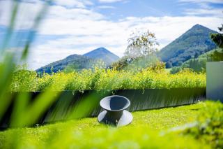 haus und hof - Design Apartments im Salzkammergut - Hof bei Salzburg - 2