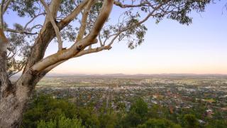 Upper Street Cottage - Tamworth - 2