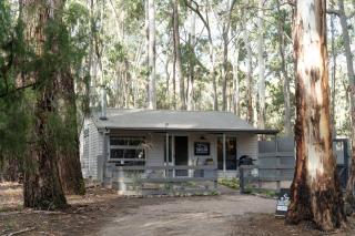 The Duckling - Glenlyon - 0