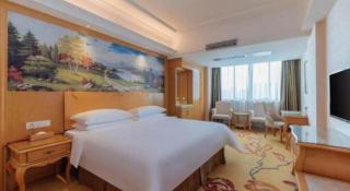 Vienna Hotel Guangdong Qingyuan Wanda Plaza Xincheng Beijiang - Qingyuan - 4