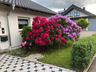Ferienwohnung Schwarzwaldhirsch - Unterkirnach - 0