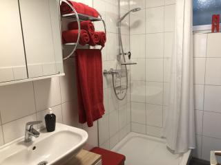 Ferienwohnung Schwarzwaldhirsch - Unterkirnach - 1