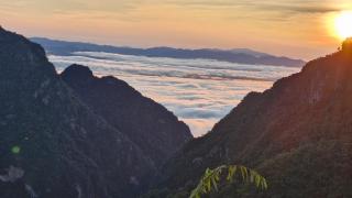 Phahee valley ผาฮี้วัลเล่ย์ - Ban Ko Doi Tung - 4