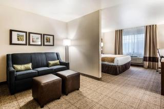 Comfort Suites at Par 4 Resort - Waupaca - 3