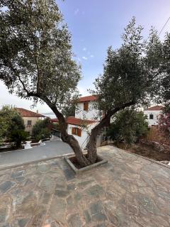 Maris Guesthouse - Mavrovouni - 7