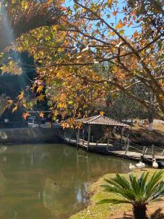 Sitio Lago das Palmeiras - Muzambinho - 1