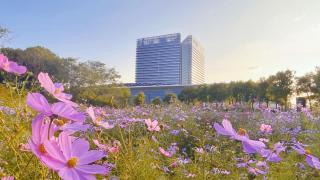 Radisson Collection Lingang Shanghai - Shanghai - 0