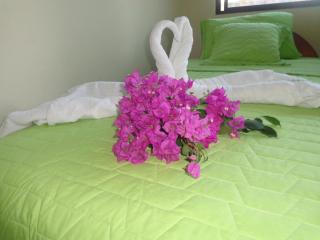 Hostal Casa Cascada - Puerto Ayora - 7