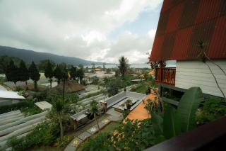 Pondanu Living - Bedugul - 6