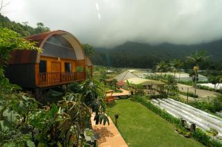 Pondanu Living - Bedugul - 3