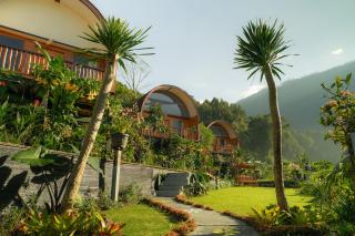 Pondanu Living - Bedugul - 0