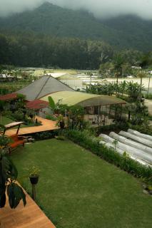 Pondanu Living - 1