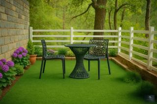 Chester Oak - Kasauli - 2