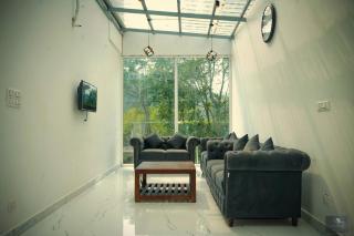 Chester Oak - Kasauli - 9