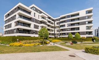SilvaKing - Gdynia - 9