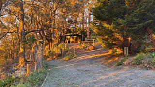 KW Treehouse - Upper Sturt - 3