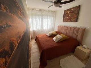 Le Cosy Corse - Vico - 2