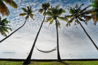 Alaya Stays Vembanad House Heritage Lakeside Villa with Garden - Alleppey - 7