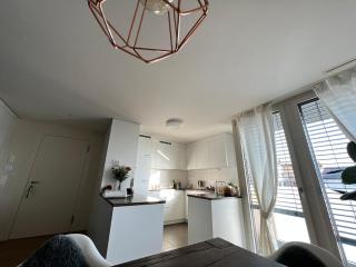 Cozy Apartment near Zurich - Altendorf - 3