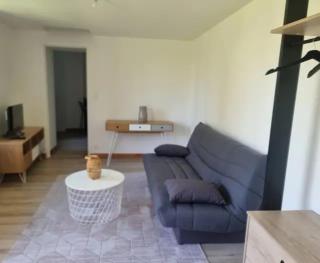 Logement moderne équipé - Ouzouer-sur-Loire - 0