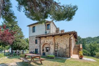 Girasole - Agriturismo Fogliani - 9