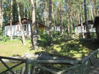 Ferienhäuser Mit Pool In Ruhiger Lage Am Waldrand - Niederaula - 7