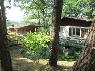 Ferienhäuser Mit Pool In Ruhiger Lage Am Waldrand - Niederaula - 6