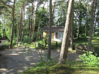 Ferienhäuser Mit Pool In Ruhiger Lage Am Waldrand - Niederaula - 5