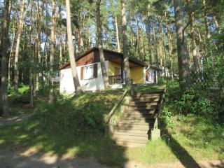 Ferienhäuser Mit Pool In Ruhiger Lage Am Waldrand - Niederaula - 4